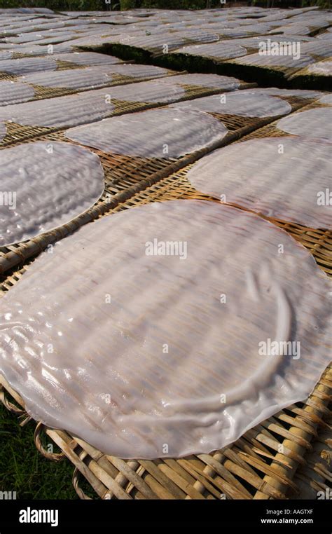 bay area vietnam rice noodle factory